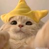 zhafira_chan_028