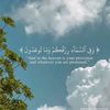 user3907387460514