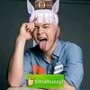 beluga_gamer2156