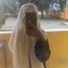 lusyu_2025