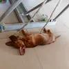 trnnhtthnh8