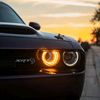 johnfx291