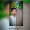 ifs_233