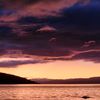 stuartgifford137