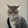 userj31nobrsd4