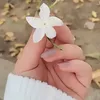 a___zq