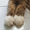 mell_13057