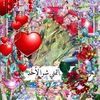 chihaouifathi4