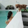 zenaida.perez58