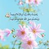 saraa_a370
