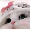 yourh_kanxiii