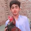 hassanansari.16