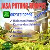 ismailnur87
