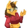 captainsunny5544