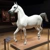 abdulaziz15307