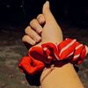 haseeb.murtaz