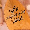 user17179117962377