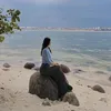 cc67498
