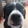 feliphedjesus