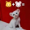 mina4evaaa
