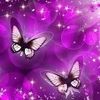 raymonde.neves