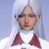 shenjius_limbs