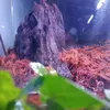 eljacobo_19