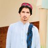shahzaddaur