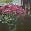 nhuquynh_15041