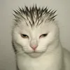 hecallme.g