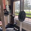 cameron6280