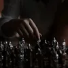 zebra65498