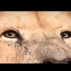 fatihabentahr