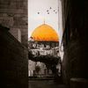 shahdmohamed8112006