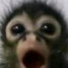 mono__sorprendido
