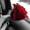 amany_a85
