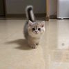 yenimaharani123
