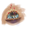 addidi41