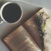 booktroves