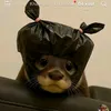 linh_mixi