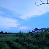xbal_prsb33