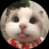 lwnguyunbeonem