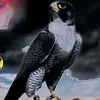 user2819608626913
