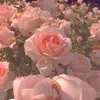 userpc2f0ygkcu