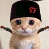 faiepin