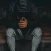 a_313mer