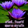 user6110980699617