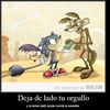 franc_kcruz
