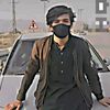 peer_saib4736