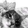 belbel_629